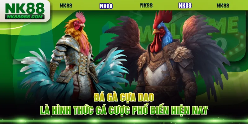 Đá gà cựa dao là hình thức cá cược phổ biến hiện nay