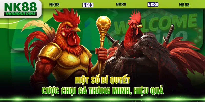 Một số bí quyết cược chọi gà thông minh, hiệu quả